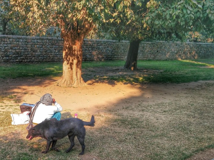 tomb of humayun 3